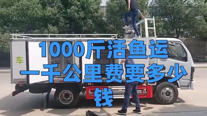 龍魚麻醉運輸需要哪些設備（龍魚麻醉運輸時可能需要的設備和技術支持和技術支持）