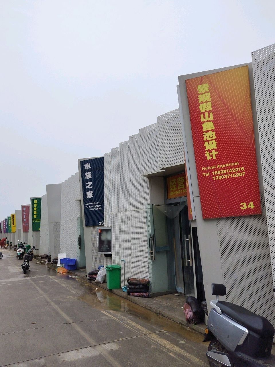 惠濟哪個水族館龍魚好？祥龍魚場龍魚（惠濟哪個水族館龍魚好） 惠濟哪個水族館龍魚好？祥龍魚場龍魚（惠濟哪個水族館龍魚好） 龍魚百科 第1張