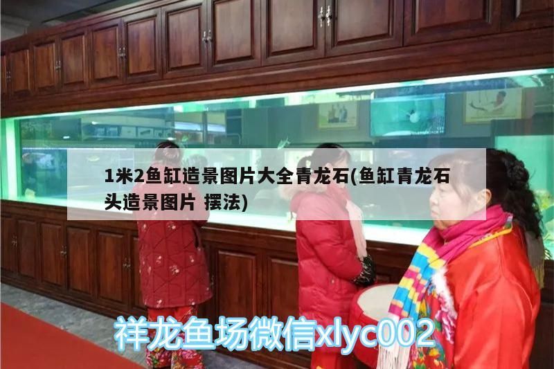 1米2魚缸造景圖片大全青龍石(魚缸青龍石頭造景圖片擺法)（1米2魚缸造景圖片大全） 1米2魚缸造景圖片大全青龍石(魚缸青龍石頭造景圖片擺法)（1米2魚缸造景圖片大全） 觀賞魚百科