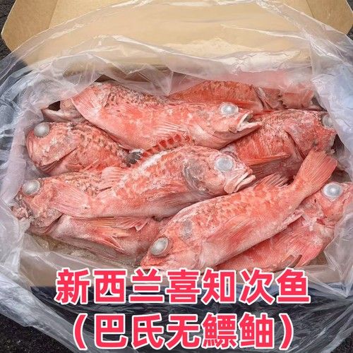 深海紅龍魚的價格是多少？（如何挑選優質的紅龍魚）