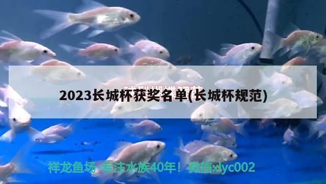 2023長城杯獲獎名單(長城杯規(guī)范)（2023長城杯獲獎名單）