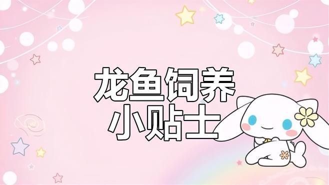 龍魚濾材多久需要更換（更換龍魚濾材的重要性）