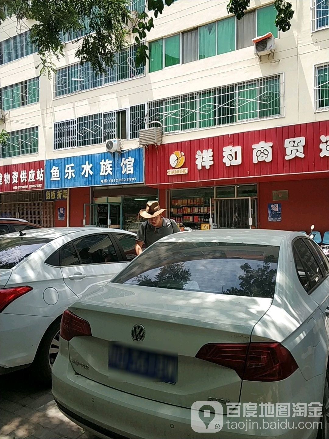 禮泉哪個水族館龍魚好？祥龍魚場龍魚（廣州龍魚祥龍魚場，極品祥龍魚場·進口元寶鳳凰魚場） 禮泉哪個水族館龍魚好？祥龍魚場龍魚（廣州龍魚祥龍魚場，極品祥龍魚場·進口元寶鳳凰魚場） 龍魚百科 第2張