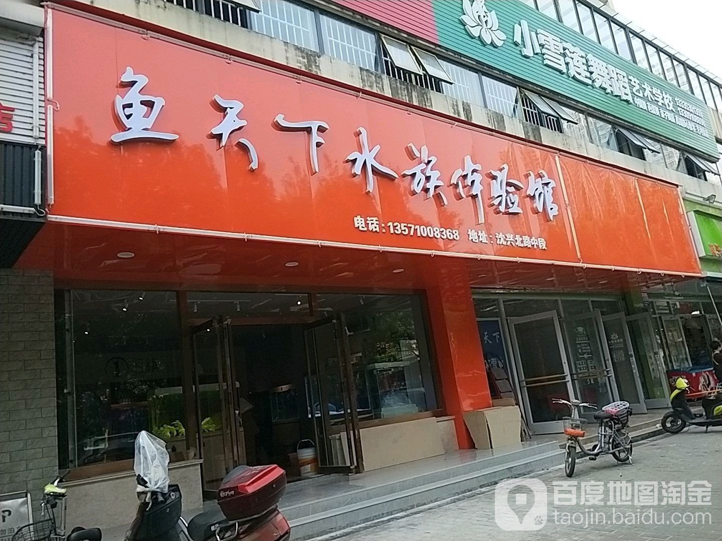 禮泉哪個水族館龍魚好？祥龍魚場龍魚（廣州龍魚祥龍魚場，極品祥龍魚場·進口元寶鳳凰魚場） 禮泉哪個水族館龍魚好？祥龍魚場龍魚（廣州龍魚祥龍魚場，極品祥龍魚場·進口元寶鳳凰魚場） 龍魚百科 第9張