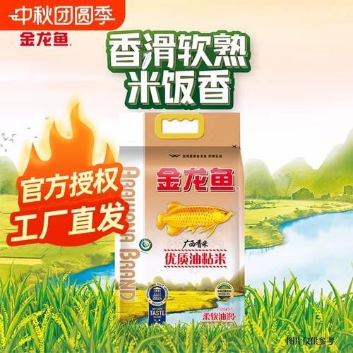 龍擺件需要開光嗎，龍擺件開光與擺放的完整指南 龍擺件需要開光嗎，龍擺件開光與擺放的完整指南 龍魚百科 第2張