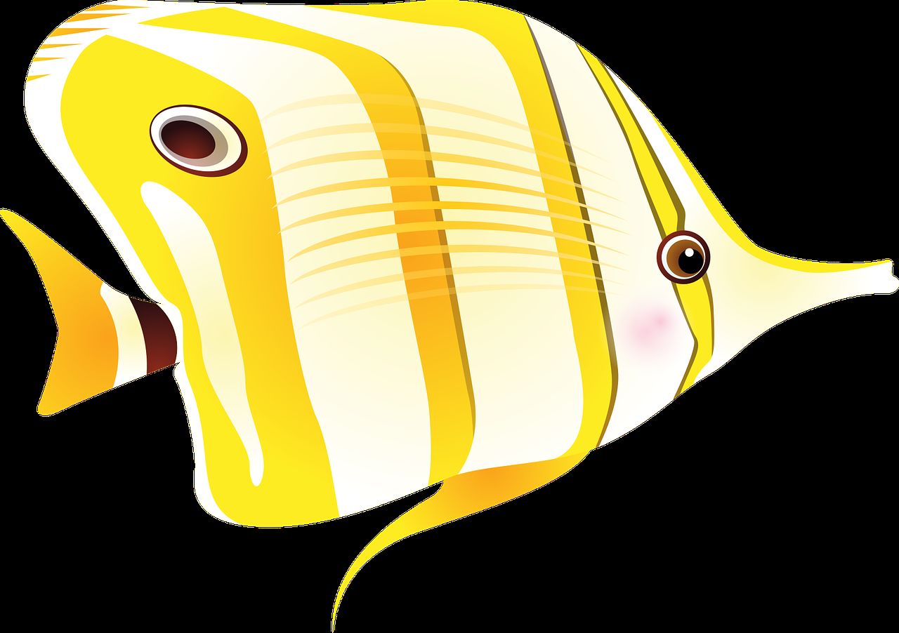 貴州觀賞魚養(yǎng)殖基地有哪些品種的 貴州適合養(yǎng)魚嗎（貴州觀賞魚養(yǎng)殖基地） 貴州觀賞魚養(yǎng)殖基地有哪些品種的 貴州適合養(yǎng)魚嗎（貴州觀賞魚養(yǎng)殖基地） 觀賞魚百科