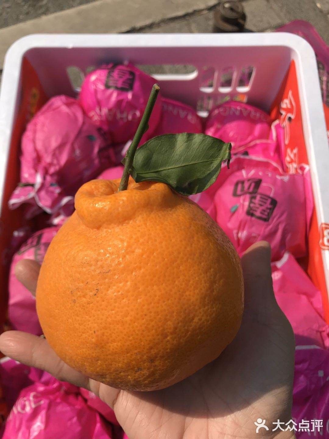 哪個市場有金龍魚和海鮮食品的批發（北京十大海鮮市場北京大型海鮮市場在哪里北京大型海鮮批發） 哪個市場有金龍魚和海鮮食品的批發（北京十大海鮮市場北京大型海鮮市場在哪里北京大型海鮮批發） 龍魚百科 第2張