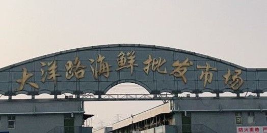 哪個市場有金龍魚和海鮮食品的批發（北京十大海鮮市場北京大型海鮮市場在哪里北京大型海鮮批發） 哪個市場有金龍魚和海鮮食品的批發（北京十大海鮮市場北京大型海鮮市場在哪里北京大型海鮮批發） 龍魚百科 第4張
