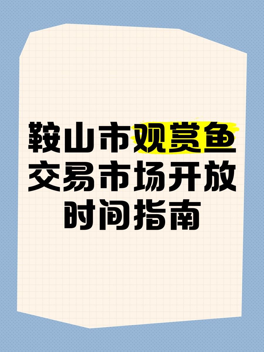 龍魚交易市場的營業時間是（國內部分龍魚交易市場的營業時間信息）