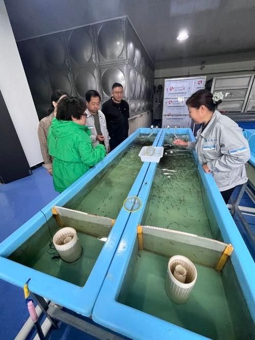 如何聯系到呼倫貝爾龍魚養殖基地(呼倫貝爾龍魚養殖基地:如何聯系到呼倫貝爾龍魚養殖基地) 龍魚百科 第2張 如何聯系到呼倫貝爾龍魚養殖基地(呼倫貝爾龍魚養殖基地:如何聯系到呼倫貝爾龍魚養殖基地) 如何聯系到呼倫貝爾龍魚養殖基地(呼倫貝爾龍魚養殖基地:如何聯系到呼倫貝爾龍魚養殖基地) 龍魚百科 第2張