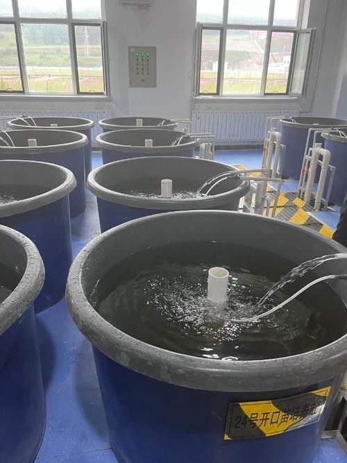 如何聯系到呼倫貝爾龍魚養殖基地(呼倫貝爾龍魚養殖基地:如何聯系到呼倫貝爾龍魚養殖基地) 龍魚百科 第5張 如何聯系到呼倫貝爾龍魚養殖基地(呼倫貝爾龍魚養殖基地:如何聯系到呼倫貝爾龍魚養殖基地) 如何聯系到呼倫貝爾龍魚養殖基地(呼倫貝爾龍魚養殖基地:如何聯系到呼倫貝爾龍魚養殖基地) 龍魚百科 第5張