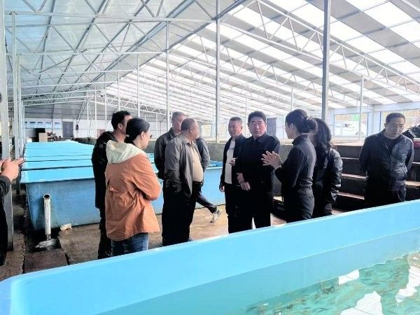 如何聯系到呼倫貝爾龍魚養殖基地（呼倫貝爾龍魚養殖基地：如何聯系到呼倫貝爾龍魚養殖基地） 如何聯系到呼倫貝爾龍魚養殖基地（呼倫貝爾龍魚養殖基地：如何聯系到呼倫貝爾龍魚養殖基地） 龍魚百科 第7張