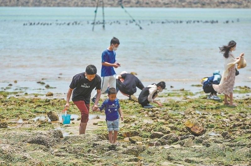 平旺漁場是否養殖龍魚？（平旺漁場是否養殖龍魚的問題需要從多個角度進行綜合分析）