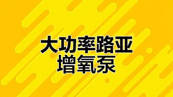 推薦幾款高效增氧機（增氧機哪個牌子好） 推薦幾款高效增氧機（增氧機哪個牌子好） 龍魚百科 第1張
