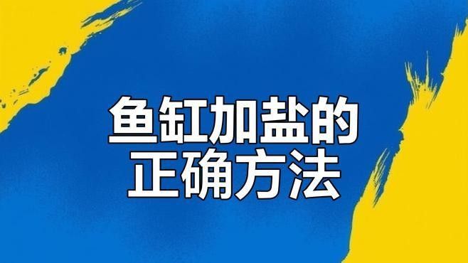 如何正確給龍魚加鹽（如何正確的給龍魚加鹽？）