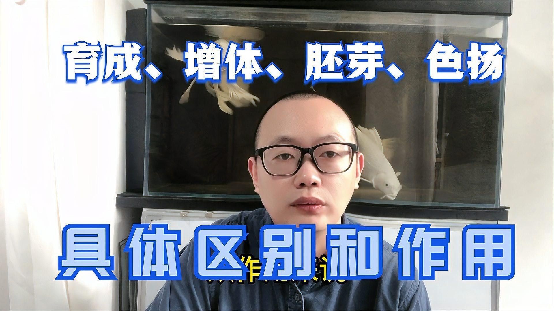 金龍魚和錦鯉的飼料有何不同？（金龍魚和錦鯉的飼料差異）