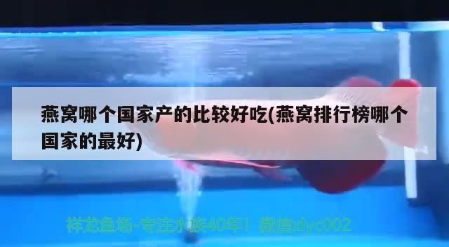 燕窩哪個國家產的比較好吃(燕窩排行榜哪個國家的最好)（燕窩哪個國家產的好）