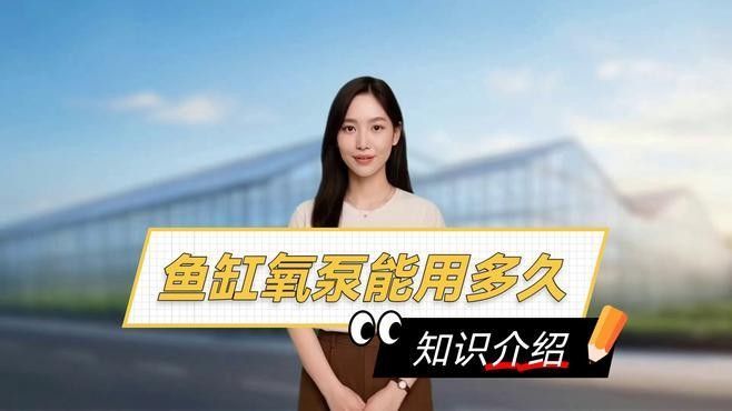 金龍魚打氧一般打多久合適（金龍魚打氧應該放在哪個位置金龍魚打氧應該放在哪個位置）
