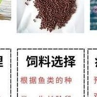 如何設置魚缸的隔離與緩沖區域？（亞克力魚缸隔離與緩沖區域設計策略愛我華夏飛翔斗魚生態缸）