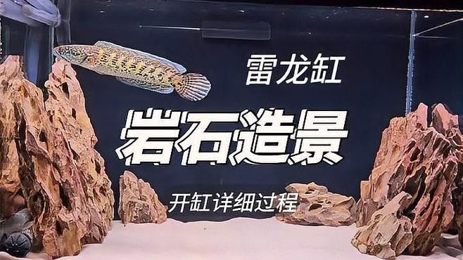 龍魚缸造景的步驟是什么？（觀賞魚世界，龍魚缸里怎么造景） 龍魚缸造景的步驟是什么？（觀賞魚世界，龍魚缸里怎么造景） 龍魚百科 第2張