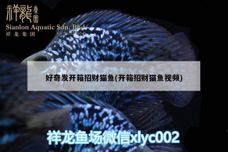 土霉素和甲硝唑哪個先用，土霉素和甲硝唑不建議同時使用 土霉素和甲硝唑哪個先用，土霉素和甲硝唑不建議同時使用 龍魚百科 第1張