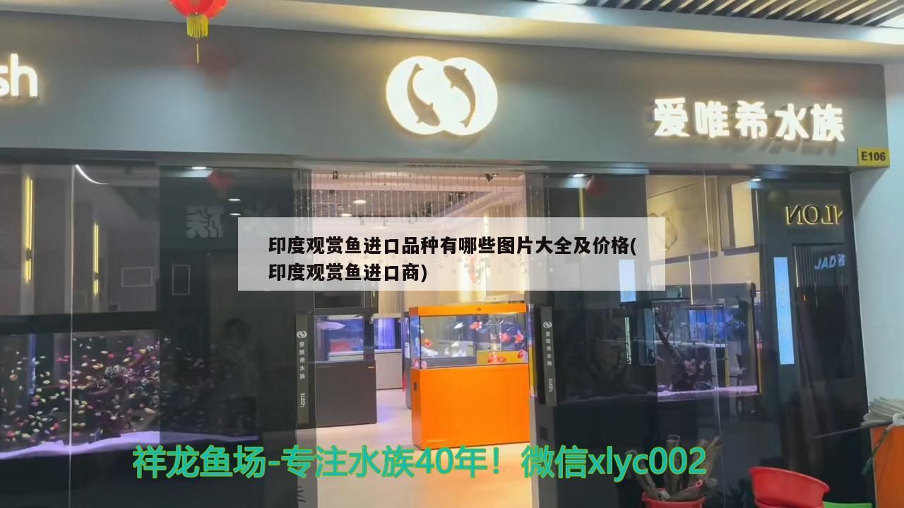 魚缸養草蝦應注意什么 水草缸養蝦的作用（草蝦的魚缸養草蝦需要注意什么，魚缸養草蝦應注意什么）