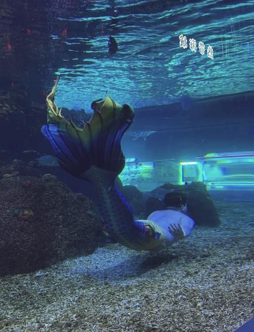 給我推薦幾家太原的水族店（太原市值得一去的幾家水族店）