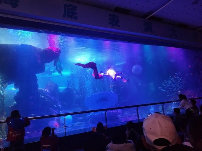 給我推薦幾家太原的水族店（太原市值得一去的幾家水族店）