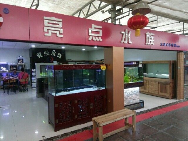 給我推薦幾家太原的水族店（太原市值得一去的幾家水族店）
