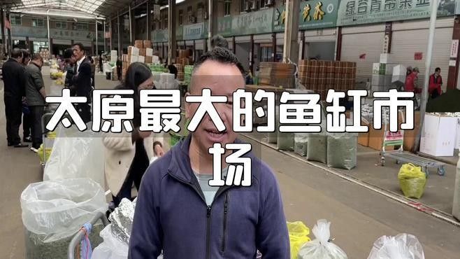 給我推薦幾家太原的水族店（太原市值得一去的幾家水族店）