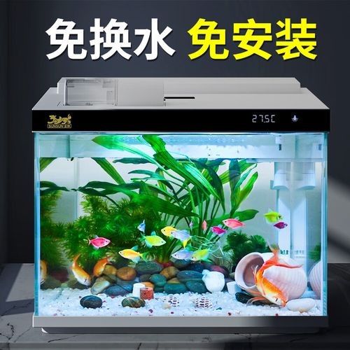 白底黑背景魚缸價格是多少？