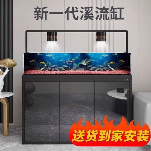 白底黑背景魚缸價格是多少？