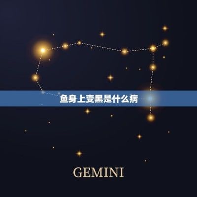 龍魚能用黃粉嗎為什么（龍魚能用黃粉嗎為什么不能用）（豬鼻龜可能會爭奪紅龍魚的食物）