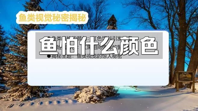 哪些顏色會讓龍魚感到不適（魚缸選色大揭秘）