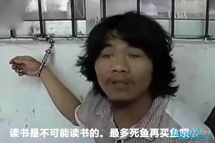 話題:養魚核心技術科普教育
