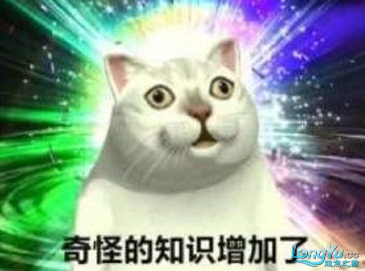 話題:養魚核心技術科普教育