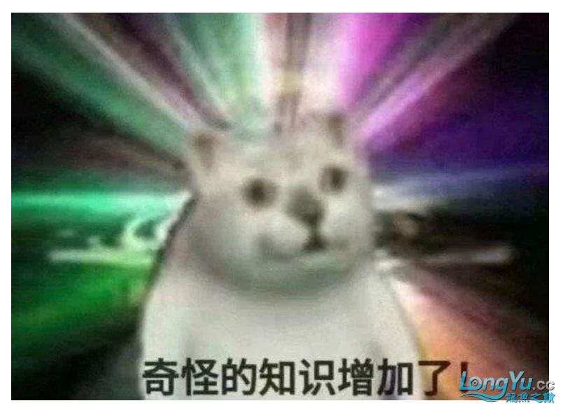 <strong><mark>雅安</mark></strong>龍魚專賣店，全湖南省規模最大的龍魚專賣店<strong><mark>雅安</mark></strong>龍魚專賣店看有100來條龍魚