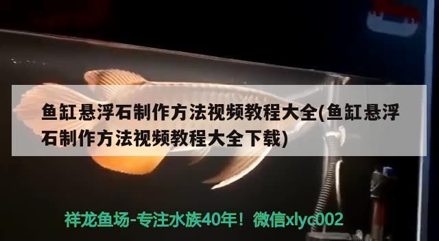 龍魚燈光位置示意圖片(金龍魚燈光位置示意圖片，紅龍魚燈光位置示意圖片