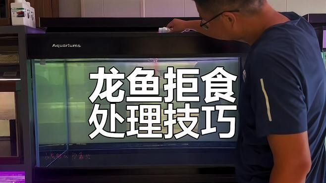 龍魚換季厭食如何處理（愛養(yǎng)love寵物龍魚拒食的處理方法與處理方法） 龍魚換季厭食如何處理（愛養(yǎng)love寵物龍魚拒食的處理方法與處理方法） 龍魚百科 第1張