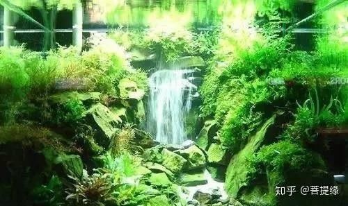 流沙瀑布造景視頻教程推薦（流沙瀑布造景視頻教程）
