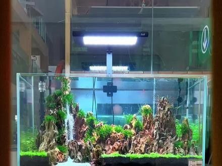 流沙瀑布造景視頻教程推薦（流沙瀑布造景視頻教程）