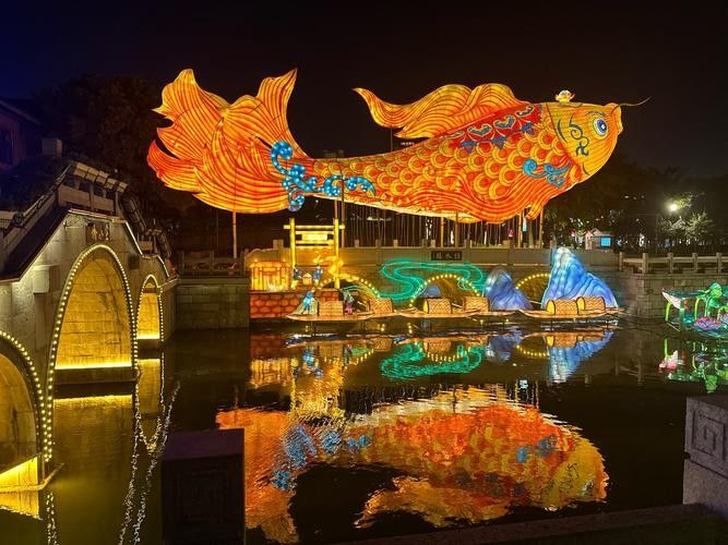 有沒有推薦的龍魚攝影燈具？（魚攝影燈具的選擇對于捕捉龍魚優雅的姿態和生動的色彩至關重要）