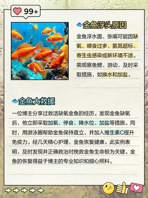如何預防金龍魚張嘴（金龍魚張嘴怎么辦）