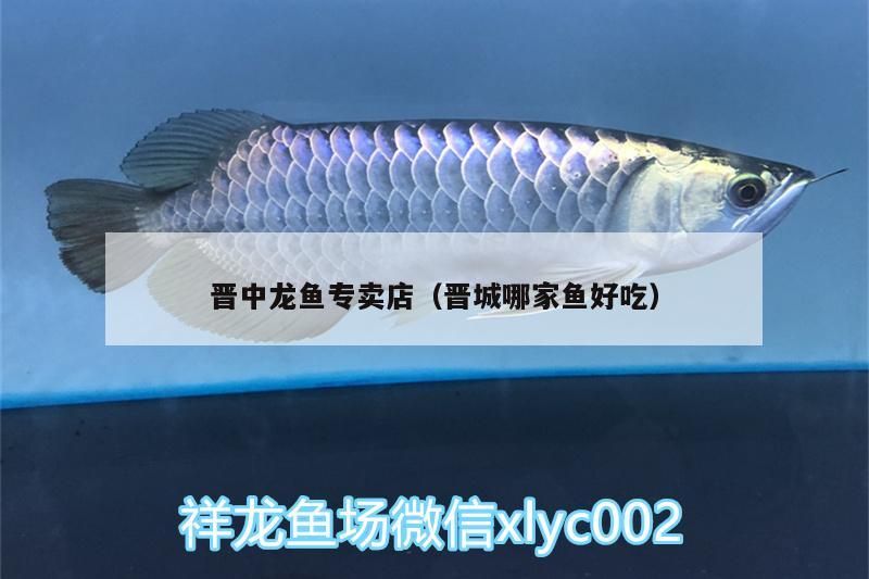 晉中龍魚專賣店（晉城哪家魚好吃）（關(guān)于晉中龍魚專賣店和晉城哪家魚好吃的介紹）