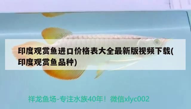 鸚鵡魚 印度觀賞魚進口價格表大全最新版視頻下載(印度觀賞魚品種)(印度觀賞魚價格表) 觀賞魚百科 印度觀賞魚進口價格表大全最新版視頻下載(印度觀賞魚品種)(印度觀賞魚價格表) 印度觀賞魚進口價格表大全最新版視頻下載(印度觀賞魚品種)(印度觀賞魚價格表) 觀賞魚百科