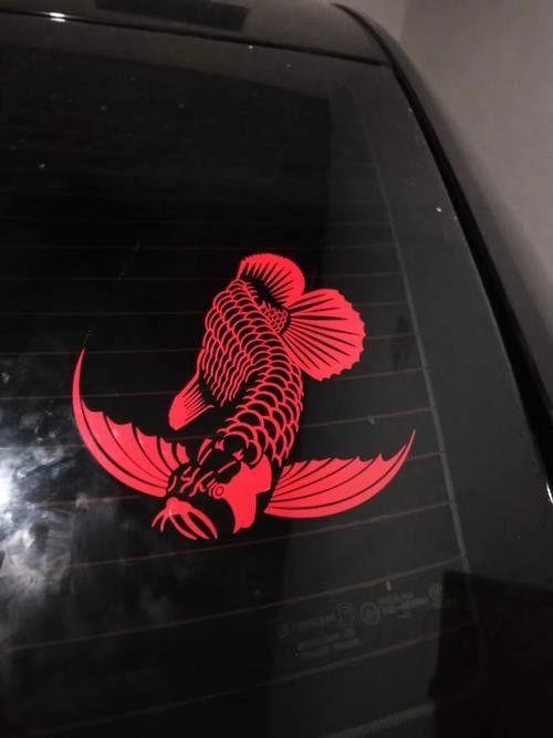 紅龍魚高清頭像有哪些風格（常見的紅龍魚高清頭像風格分類及特點及特點）