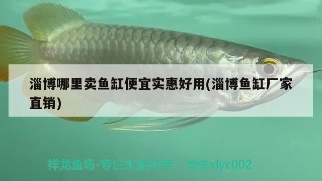 魚缸用增氧泵價格是多少:魚缸增氧機-xtrac增氧機-xtrac增氧機 淄博哪里賣魚缸便宜實惠好用(淄博魚缸廠家直銷)(淄博哪里賣魚缸便宜實惠好用) 觀賞魚百科 淄博哪里賣魚缸便宜實惠好用(淄博魚缸廠家直銷)(淄博哪里賣魚缸便宜實惠好用) 淄博哪里賣魚缸便宜實惠好用(淄博魚缸廠家直銷)(淄博哪里賣魚缸便宜實惠好用) 觀賞魚百科