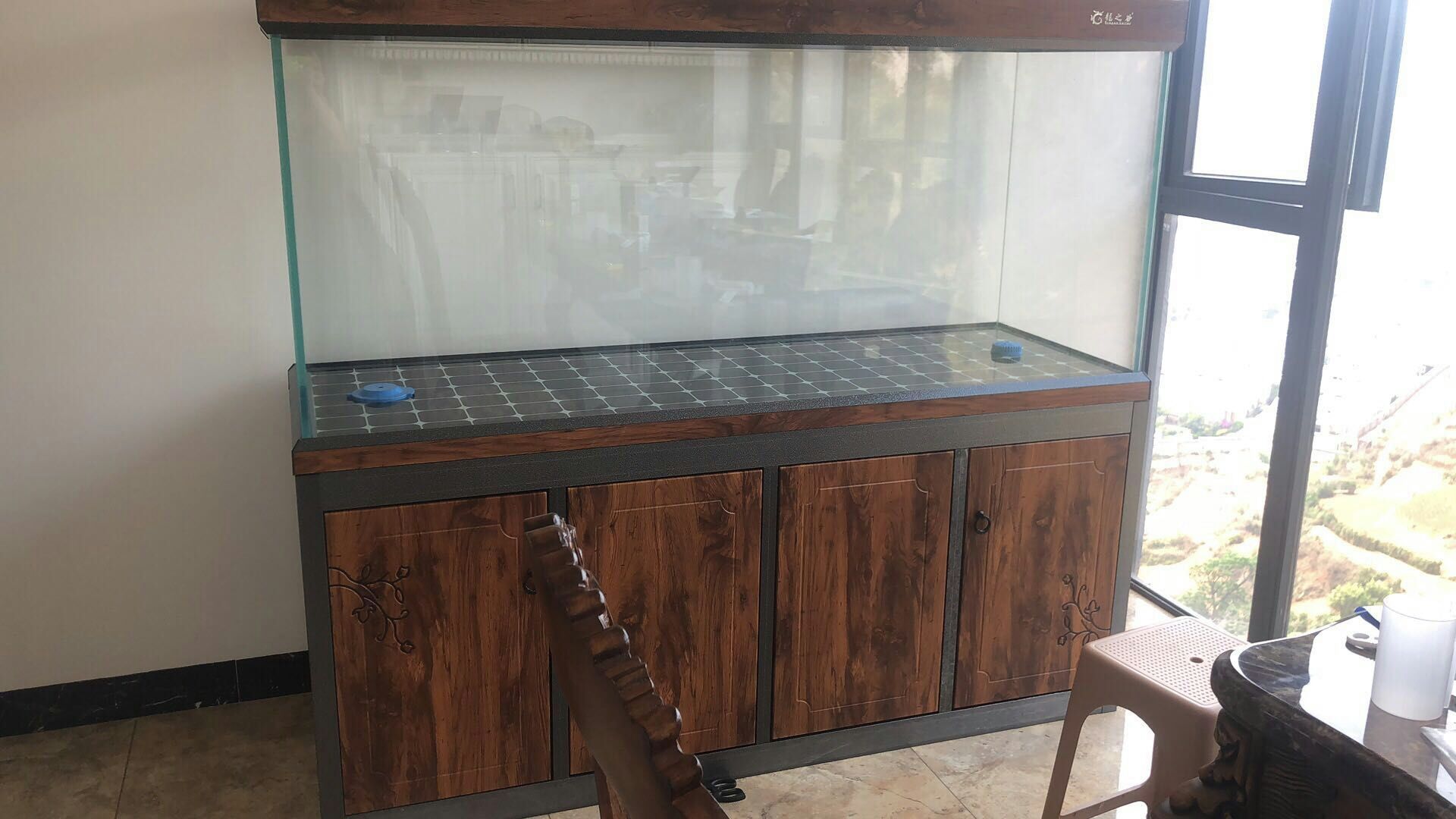 蘇州水族館超白龍魚魚缸定制批發(fā)（水族館超白龍魚魚缸定制批發(fā)）