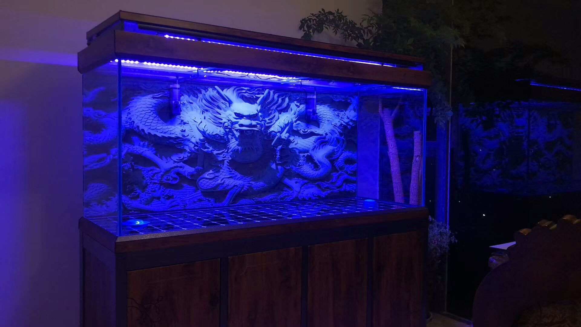 蘇州水族館超白龍魚魚缸定制批發(fā)（水族館超白龍魚魚缸定制批發(fā)）