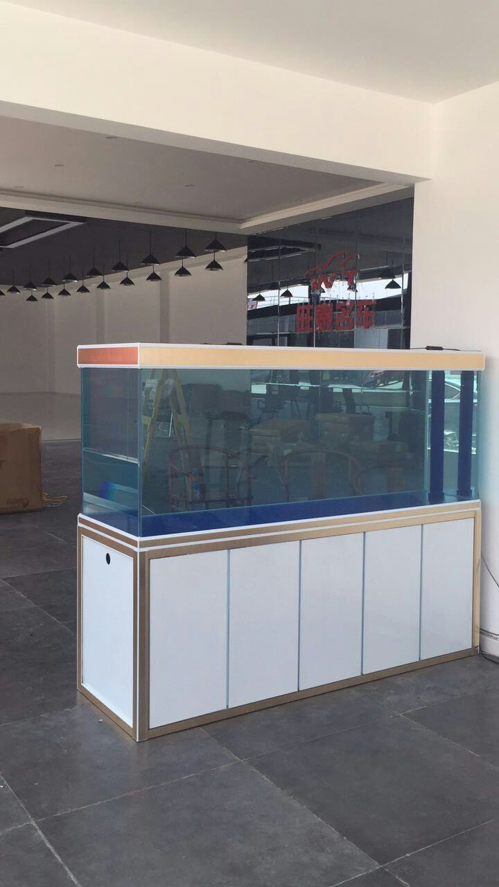 蘇州水族館超白龍魚魚缸定制批發(fā)（水族館超白龍魚魚缸定制批發(fā)）